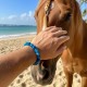 Bracelet Homme Femme Pierres Naturelles - Agate bleue